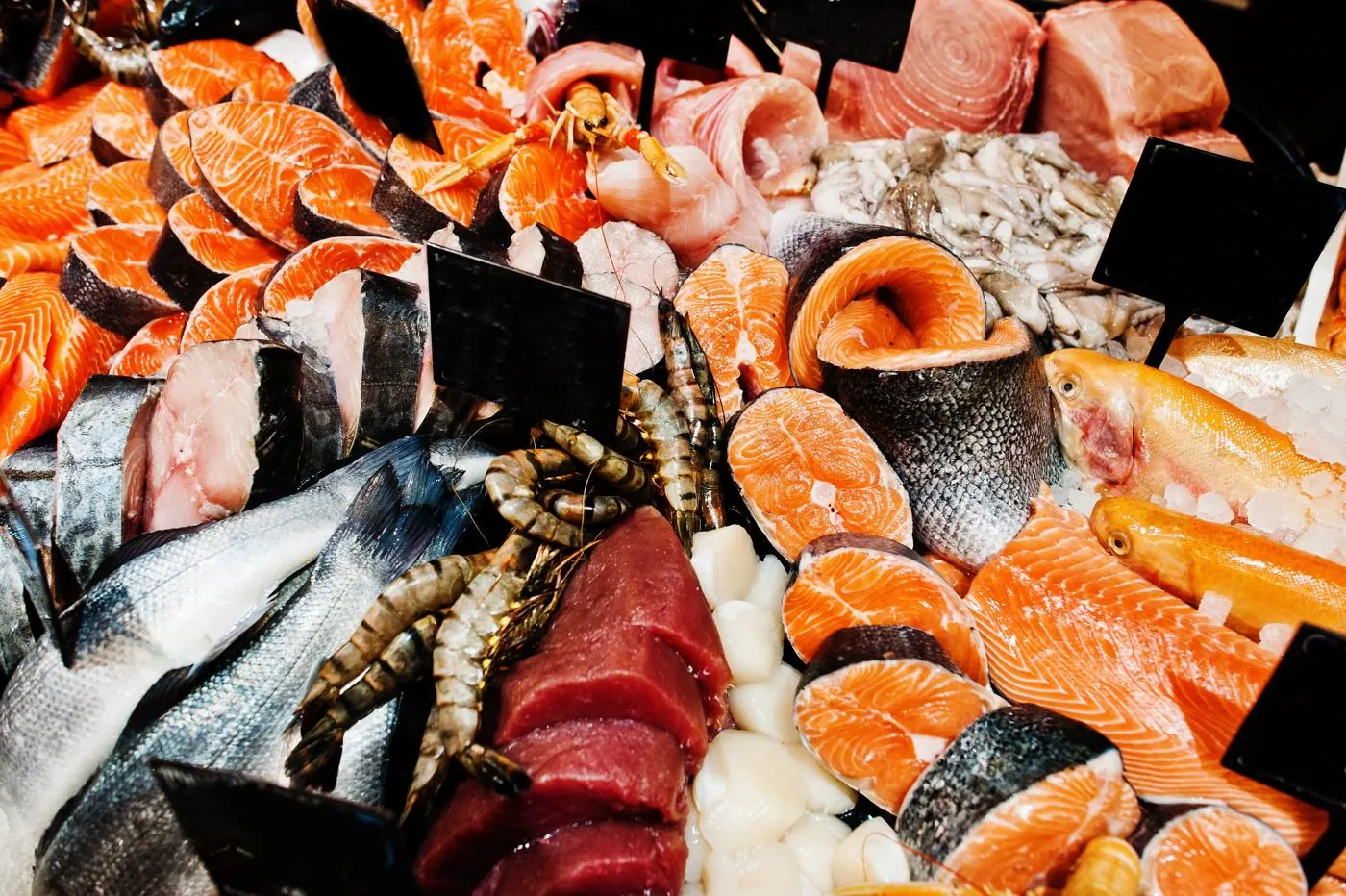 Exhibidor de pescados y mariscos congelados