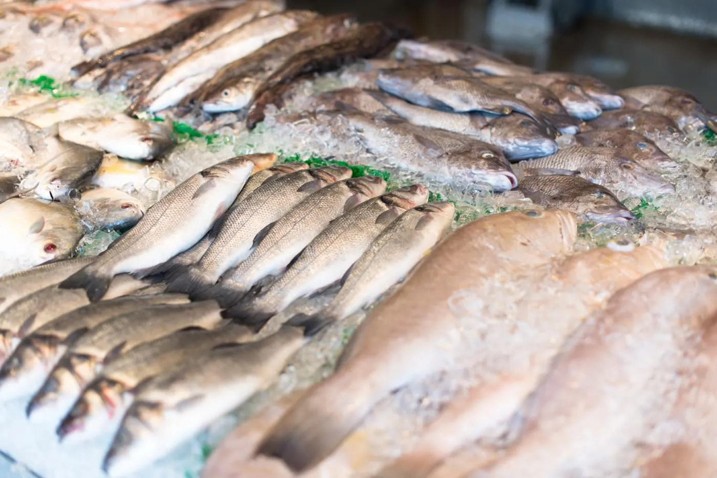 Pescados enteros sobre hielo en pescadería