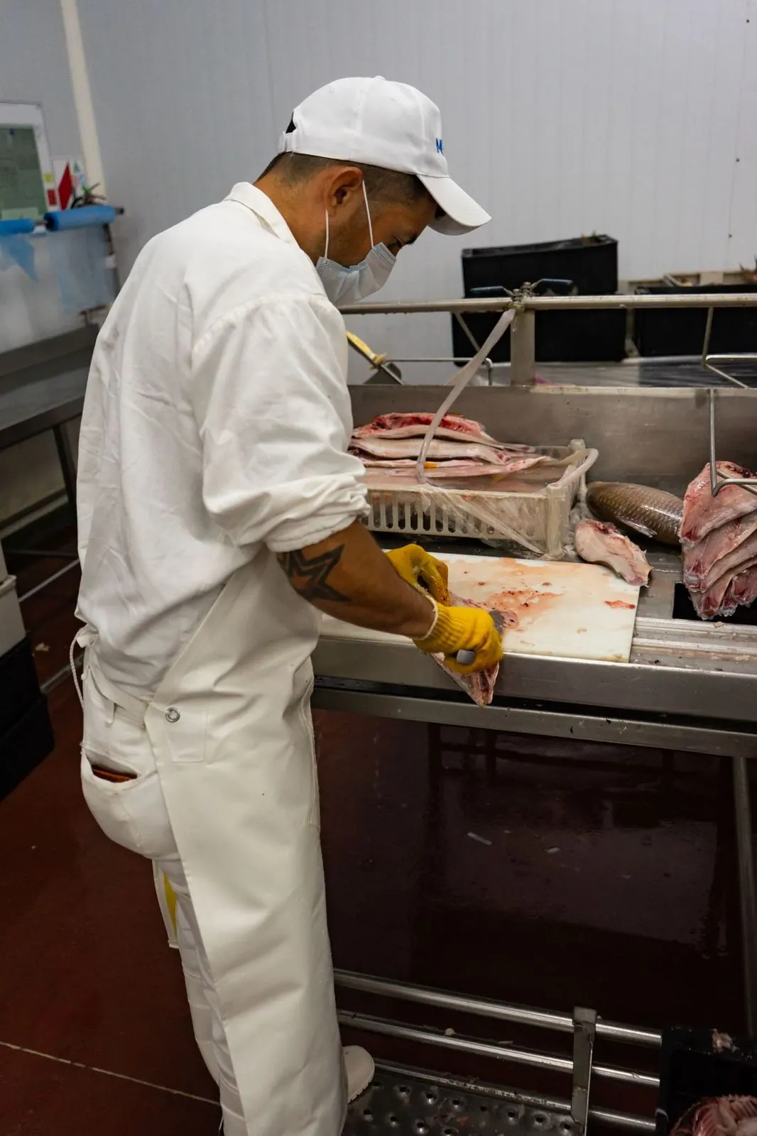 Eviscerado y despinado de pescado de río