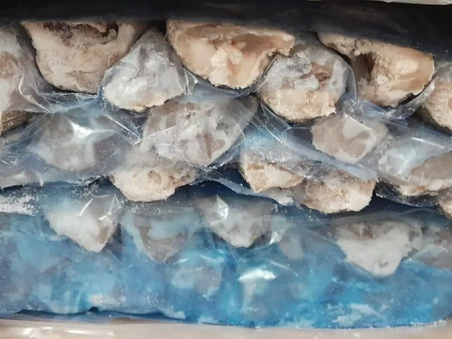 HGT hake
