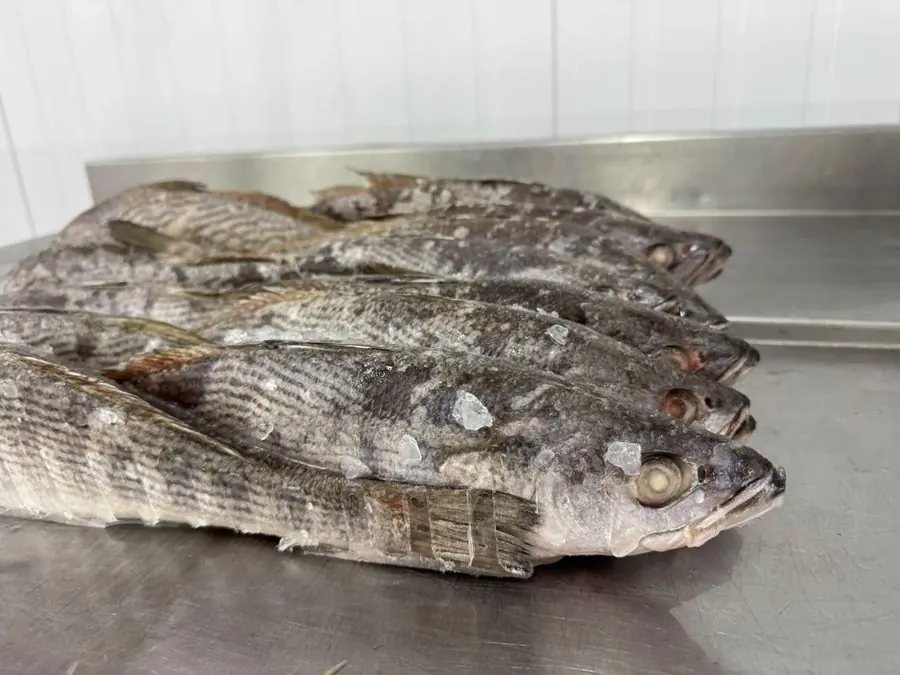 Whole weakfish