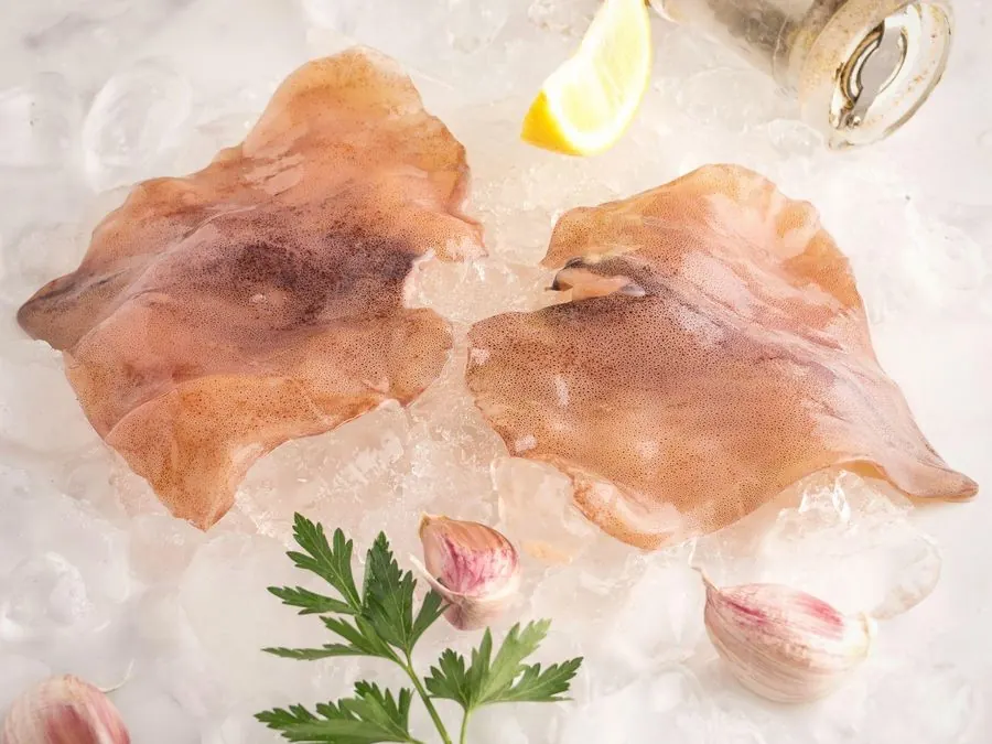 Squid fins
