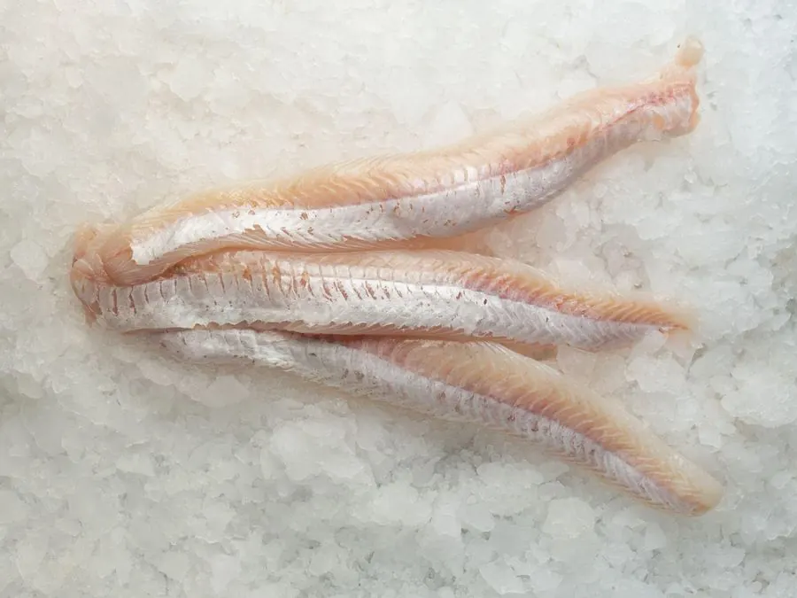 Flathead fillet, IQF