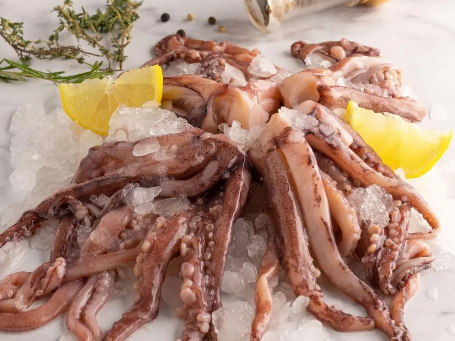 Squid tentacles